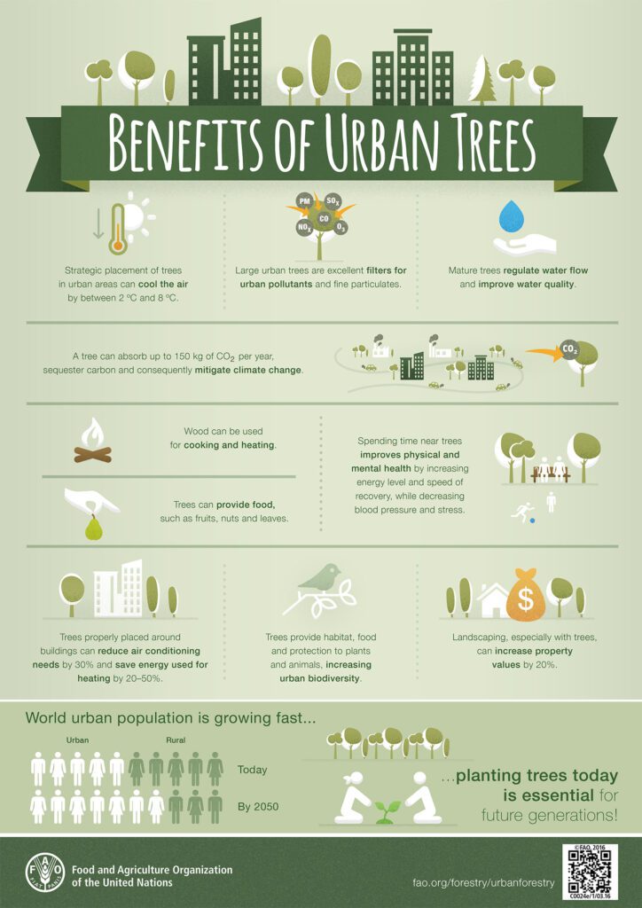 The benefits of urban trees infographic