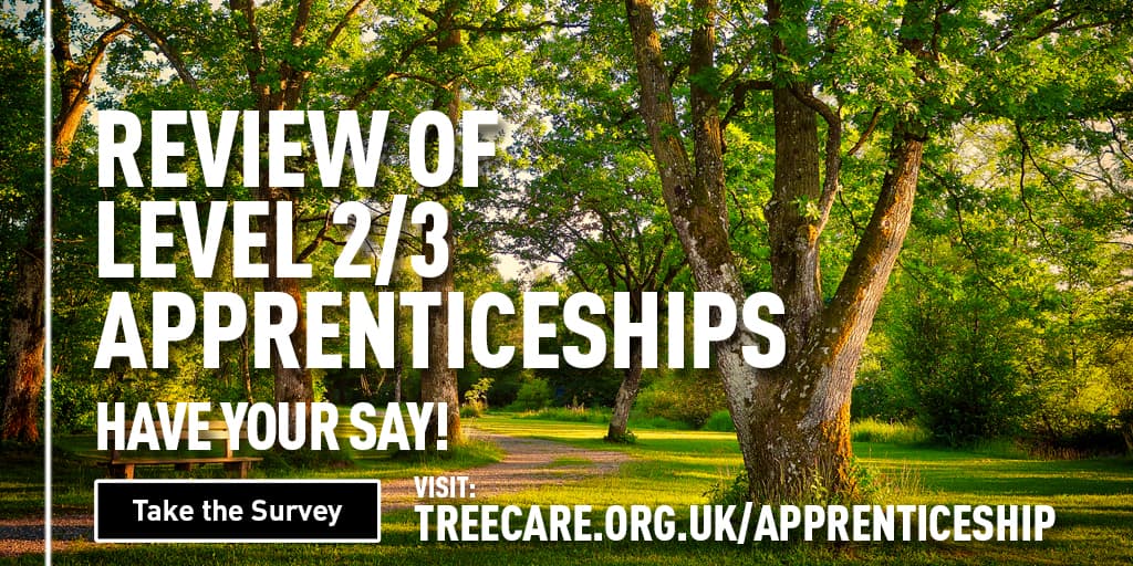 Review of Level 2/3 Apprenticeships